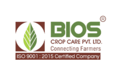 Untitled design (14)